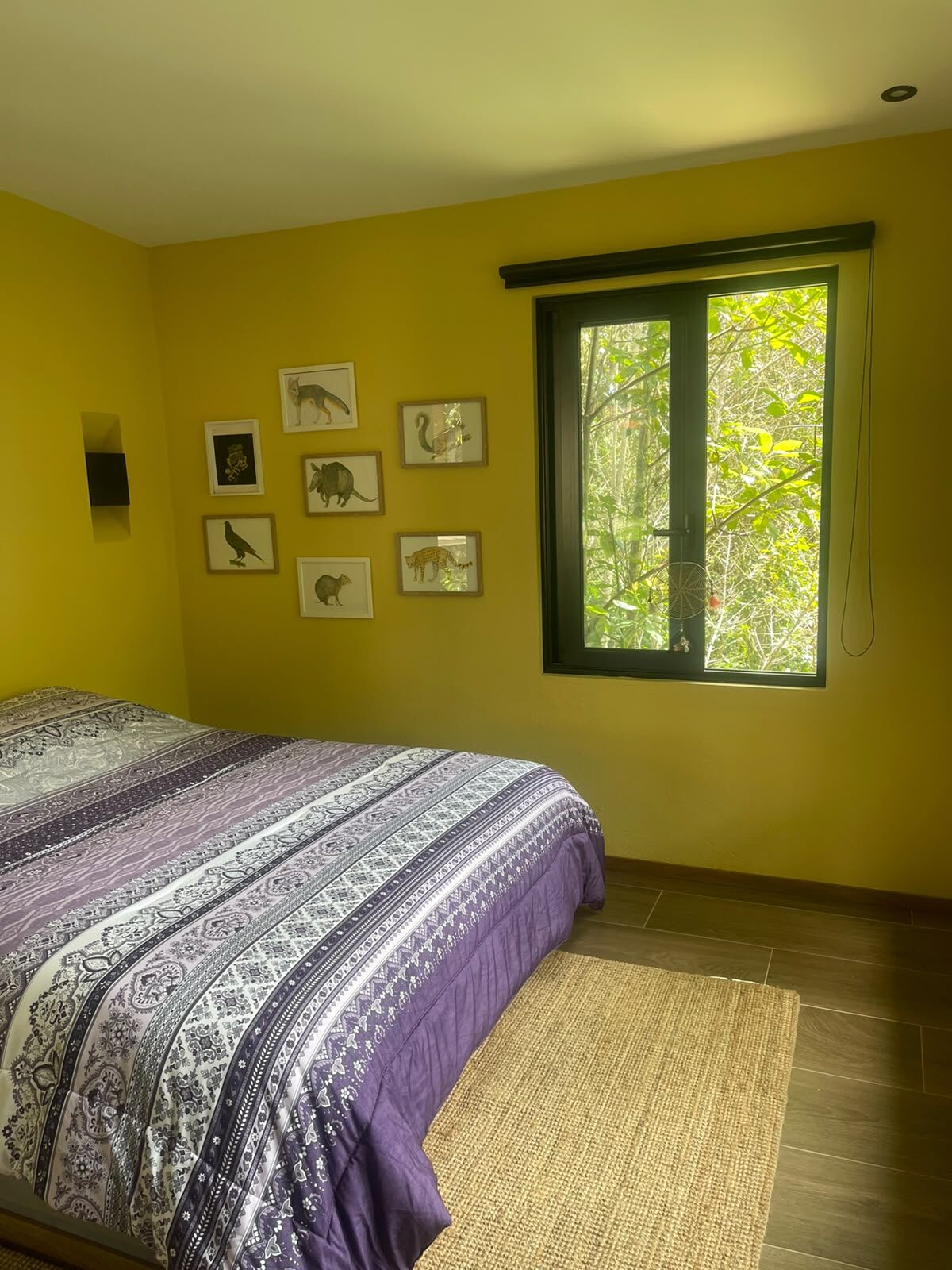 Habitación con ilustraciones de fauna local